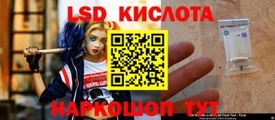 spice Тара