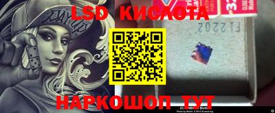 гидропоника Тверь