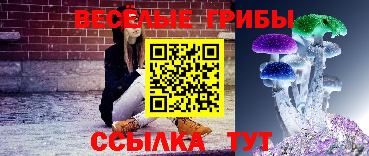 Галлюциногенные грибы GOLDEN TEACHER  Псилоцибиновые грибы прущие грибы  Вход с VPN  Вятские Поляны 