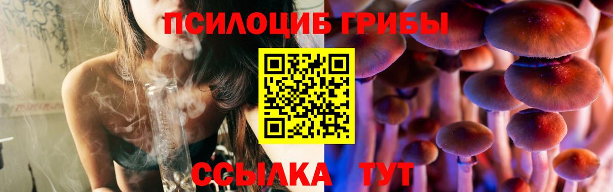 Галлюциногенные грибы Cubensis Вятские Поляны